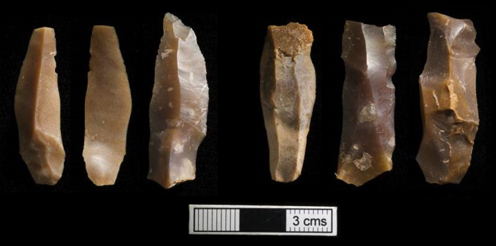 Scientists:  Oldest Human DNA from Africa Analyzed