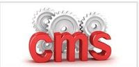 Image of letters CMS