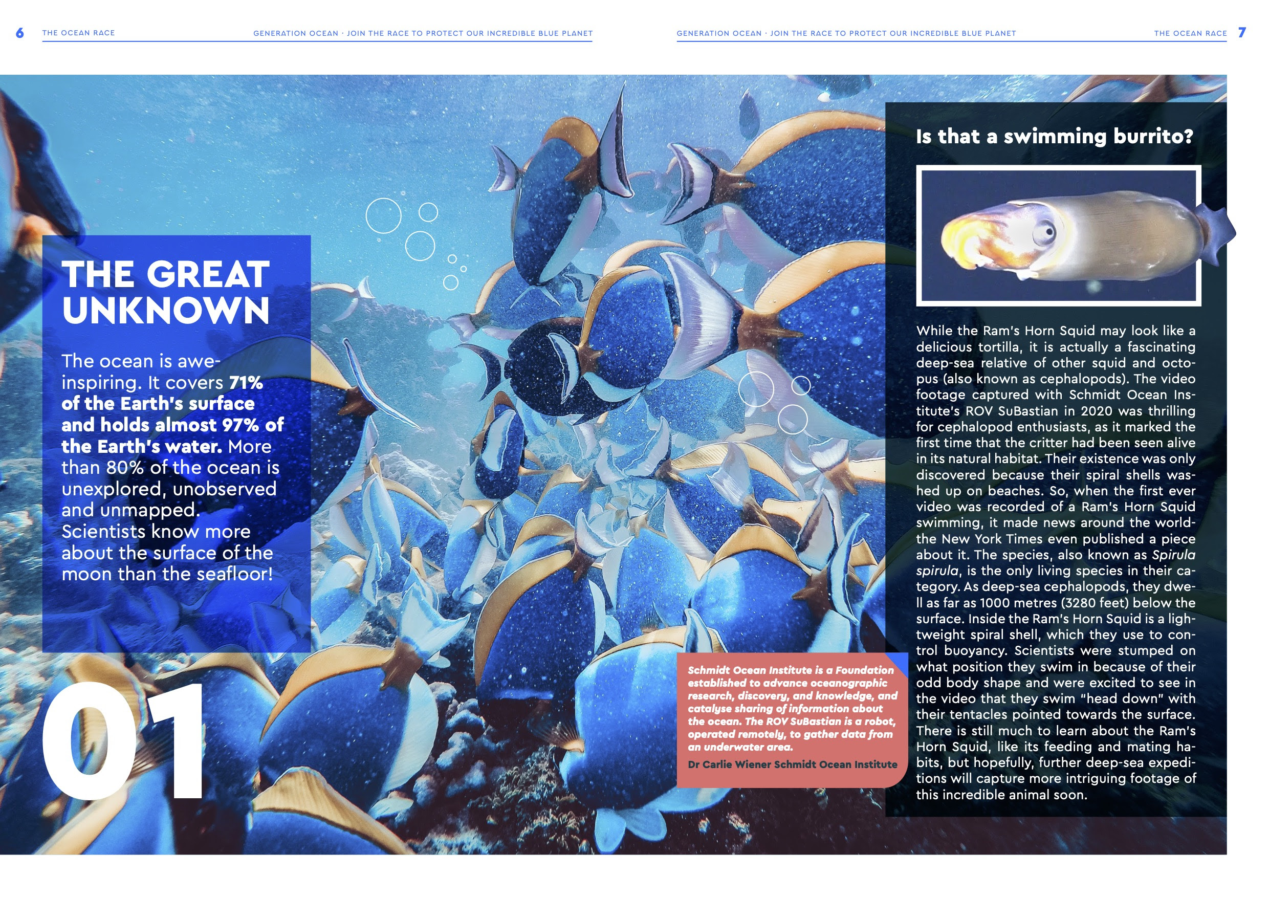 Generation Ocean Booklet containing engaging articles, stories, reflections and action points