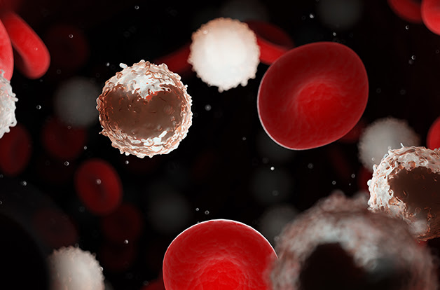 3d rendered medically accurate illustration of too many white blood cells