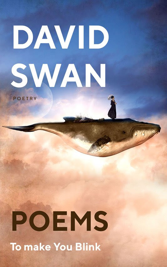 Poems to Make You Blink by David Swan