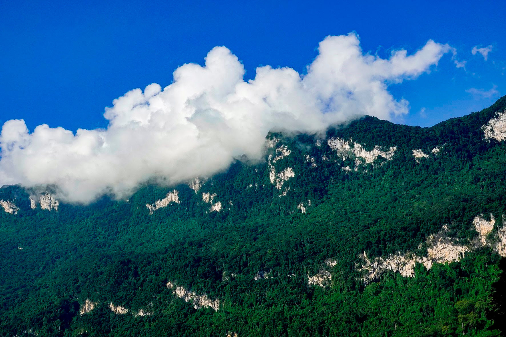 Hồ nước ngọt nhân tạo lớn nhất Tuyên Quang hiện ra đẹp như phim, có ngọn thác đổ, rừng nguyên sinh - Ảnh 4.