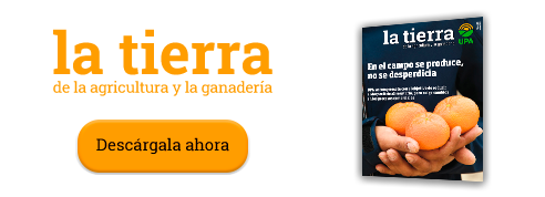 Descarga aquí La Tierra