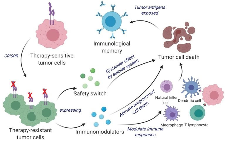 Dual-Action, Cancer Killing Vaccine