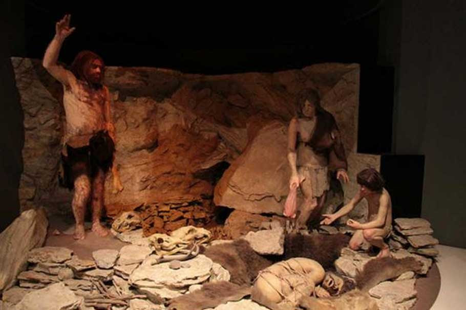 Reconstrucción de Neandertales enterrando a un individuo en una cueva. Museo Nacional de Historia Natural, Washington D. C., Estados Unidos. Reconstrucción de Neandertales enterrando a un individuo en una cueva. Museo Nacional de Historia Natural, Washington D. C., Estados Unidos.