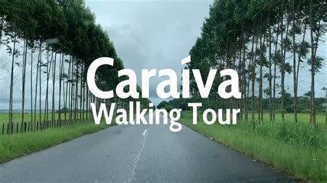 A scenic path through the lush vegetation in Caraiva