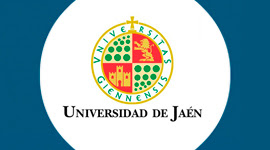 Becas para cursar Masteres Oficiales en la
              Universidad de Jaén