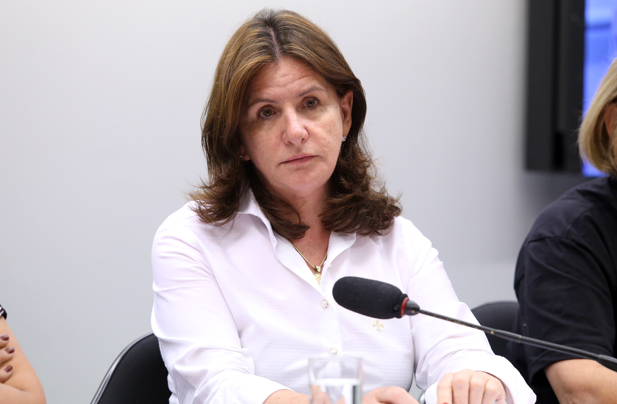 Audiência pública sobre o modelo de clínica-escola para as pessoas com autismo, como uma forma inovadora e transversal de gestão das políticas públicas. Dep. Carmem Zanotto (PPS-SC)