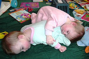 300px-Being_a_twin_means_you_always_have_a_pillow_or_blanket_handy