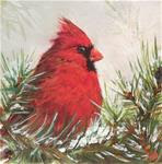 Cardinal and Pine - Posted on Thursday, January 8, 2015 by wendy black