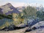 Sonoran Afternoon - Posted on Sunday, January 4, 2015 by Nancy Romanovsky