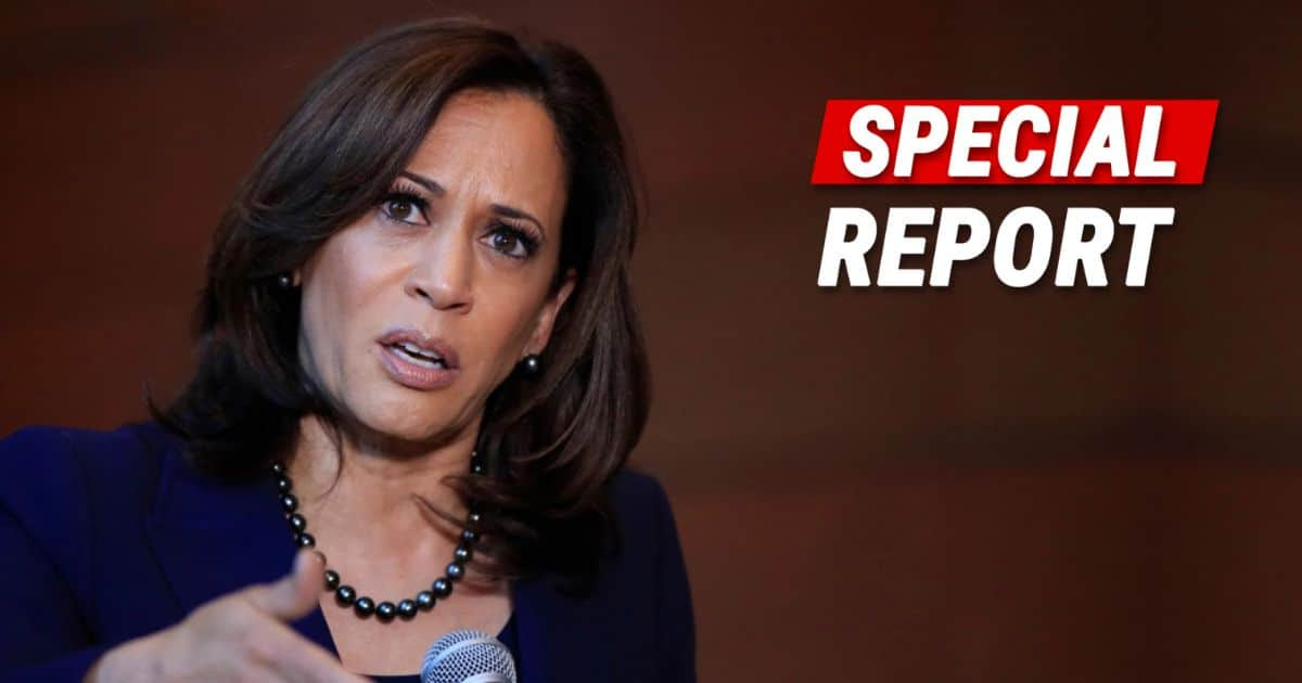 Kamala Quietly Launches 1 Tyrannical Plan - She Can't Stop Going After Our Basic Freedoms