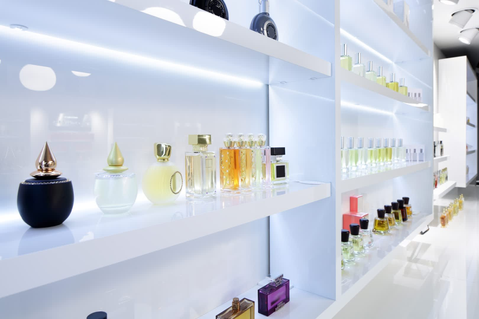 Our Fragrance Expertise