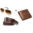 iLiv Brownish Aviator Wallet & Belt Combo