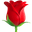 :rose:
