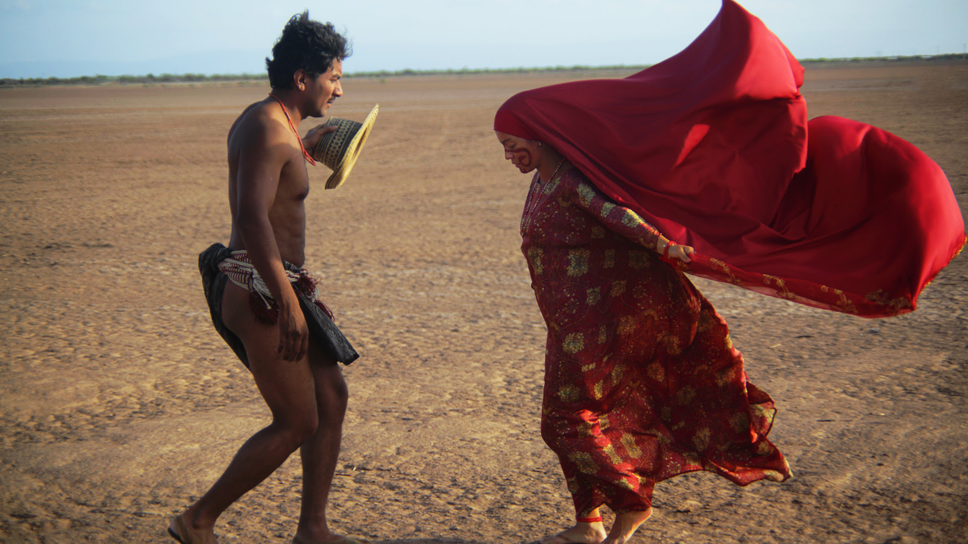 Αποδημητικά Πουλιά (Birds of Passage)
