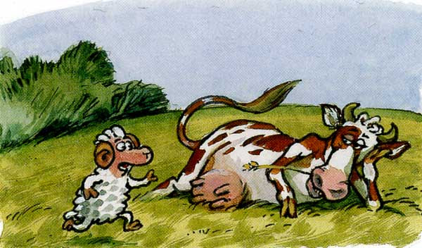 Беллино с коровой, иллюстрация