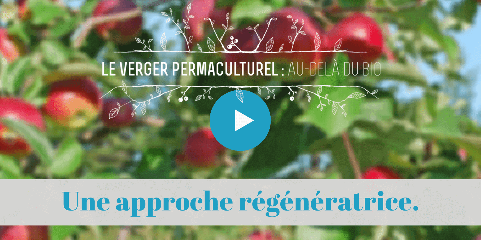 verger, pommiers, permaculture
