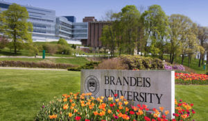 Brandeis University Ethics Center announces student fund for projects to counter “Islamophobia”