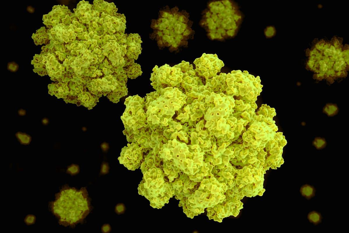 Scientists may have a new weapon against the historically tricky-to-treat stomach bug norovirus