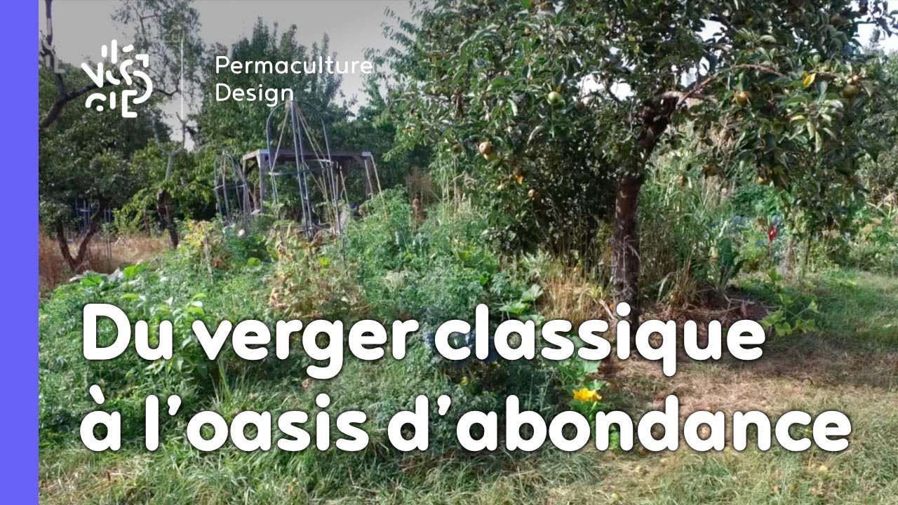 Julie et Ludovic, membres de notre formation en ligne ont fait d’un verger classique un véritable jardin d’abondance grâce au design de permaculture.