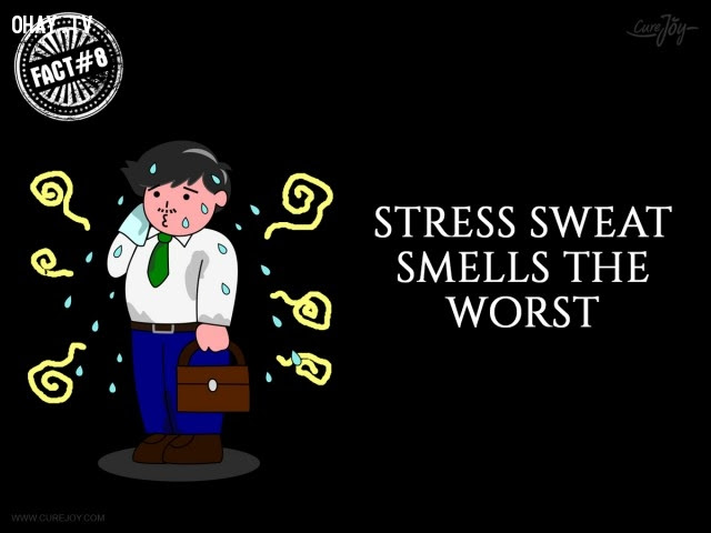 8. Mồ hôi do căng thẳng có mùi tệ nhất.,mồ hôi,đổ mồ hôi,sự thật thú vị,sự thật kỳ lạ,những điều thú vị trong cuộc sống,có thể bạn chưa biết