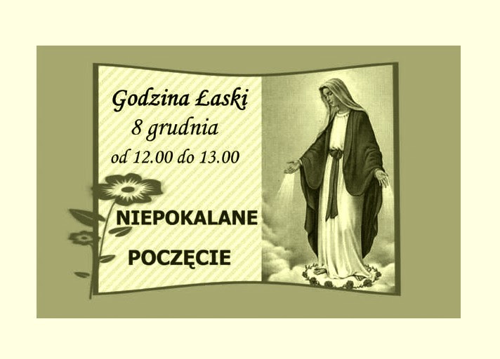 GODZINA ŁASKI! 8 GRUDNIA OD 12.00-13.00 - dyskusje na Garnek.pl