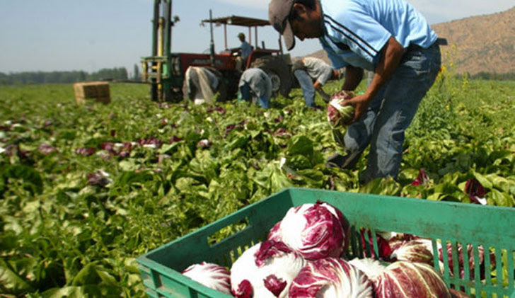 productores-pequeños-uruguay-e