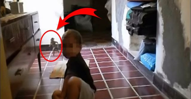 Remember The Tiny Creature Who Ran Across The Kitchen Floor? It Has Returned To Harass The Baby! (New Video) 