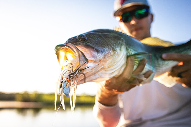 Z-Man Crosseyez Chatterbait