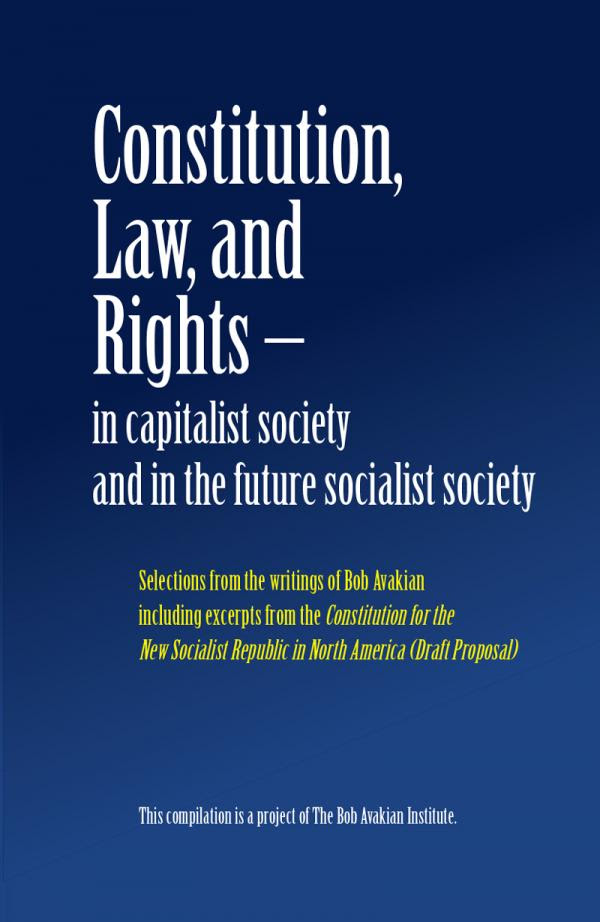 Cover_constitution-law-and-rights-en image