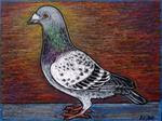 Racing Pigeon - Posted on Thursday, December 11, 2014 by Ande Hall