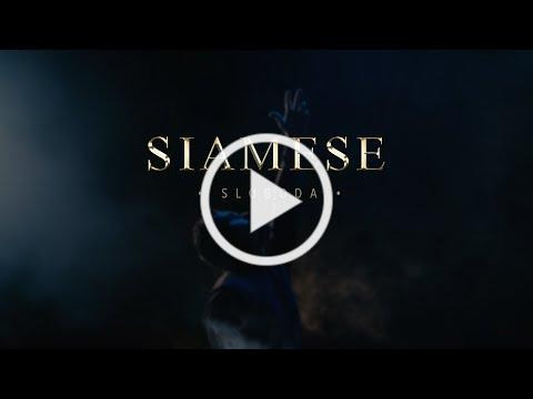 Siamese - Sloboda (Official Video)