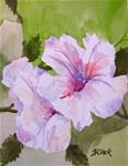 Hibiscus, study - Posted on Monday, February 2, 2015 by Judith Freeman Clark