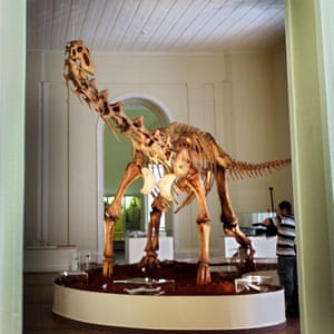 The display of the Maxakalisaurus topai dinosaur at the museum.