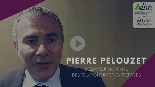 Pierre Pelouzet, Médiateur national des relations inter-entreprises