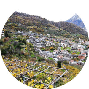 Piemonte: la buona legge che sostiene le piccole imprese agricole
