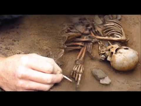 Ireland - Archaeologists Discover Remains of New Human Species Hqdefault