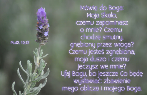 Znalezione obrazy dla zapytania JEZUS JEST BLISKO