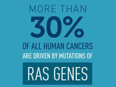 RAS oncogene factoid
