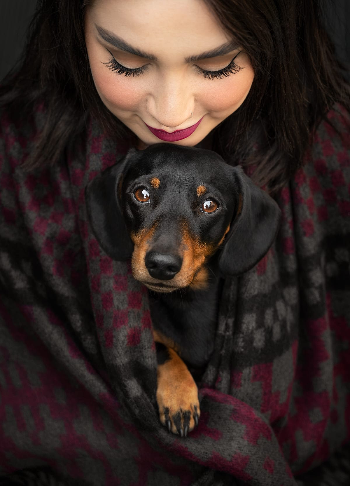 Dachshund Peeking Out of Owner's Scarf