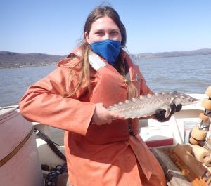 A woman wearing a mask stands on a boat holding a young Atlantic sturgeon.