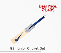 Nike G2 Junior Kashmir Willow Cricket Bat