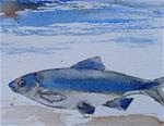 Blue fish - Posted on Thursday, January 22, 2015 by Ulrike Schmidt