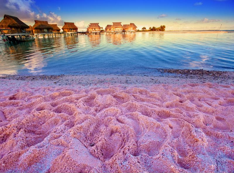 Tiny pink shells give this beach its unique color.