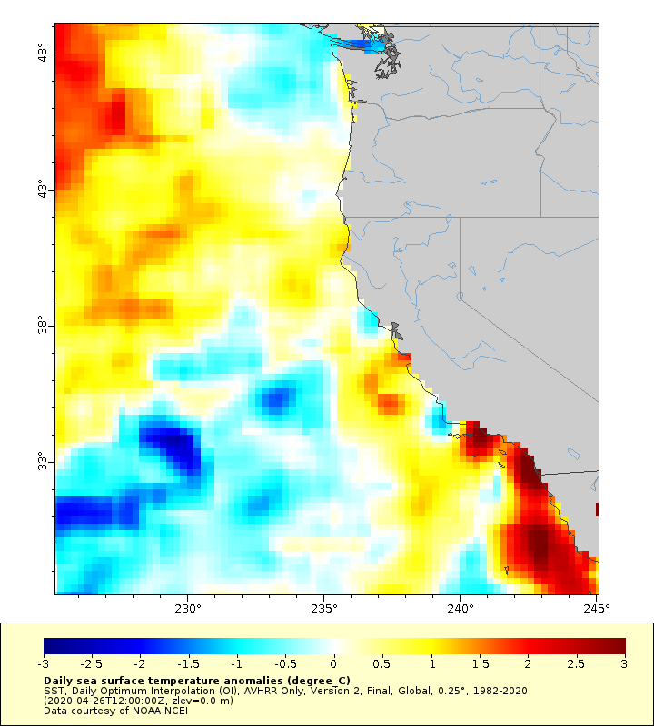 Sea surface temperature anomalies, U.S. West Coast