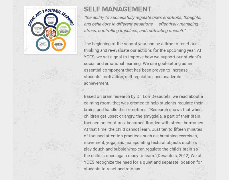 SELF MANAGEMENT
                        “the ability to successfully regulate one’s emotions, thoughts, and behaviors in...