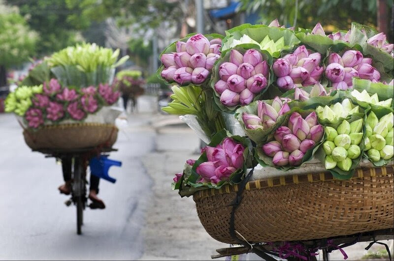 Вьетнам. Фотозарисовки