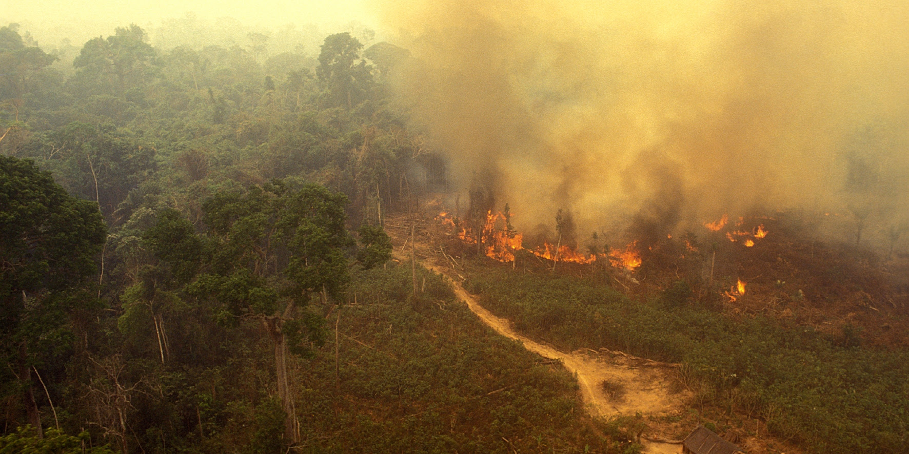Yellow smoke rises from a part of the Amazon Rainforest as it burns