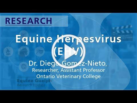 Equine Herpes Virus - Dr. Diego Gomez-Nieto